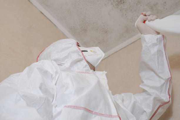 Best DIY Mold Remediation Support Services in Inverness Highlands North, FL